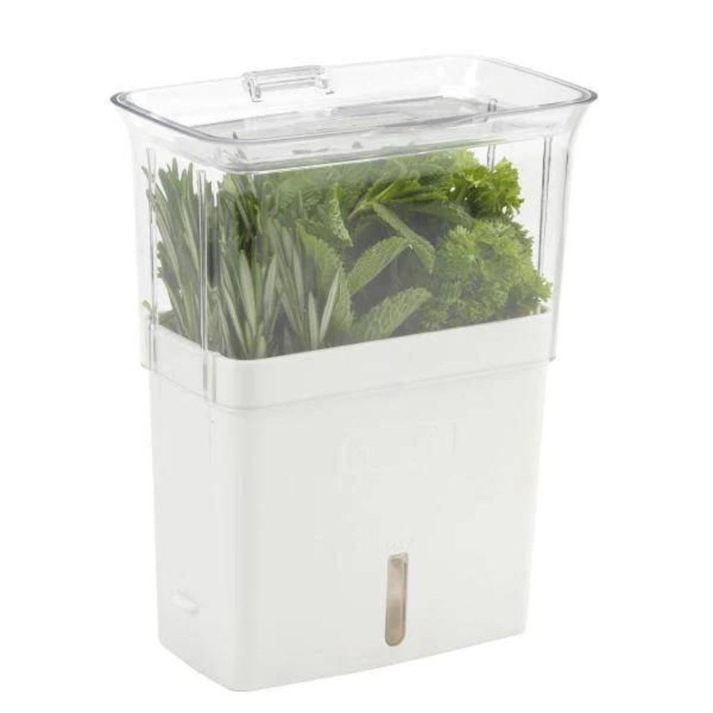 Tealby Freshly Cut Herb Keeper
